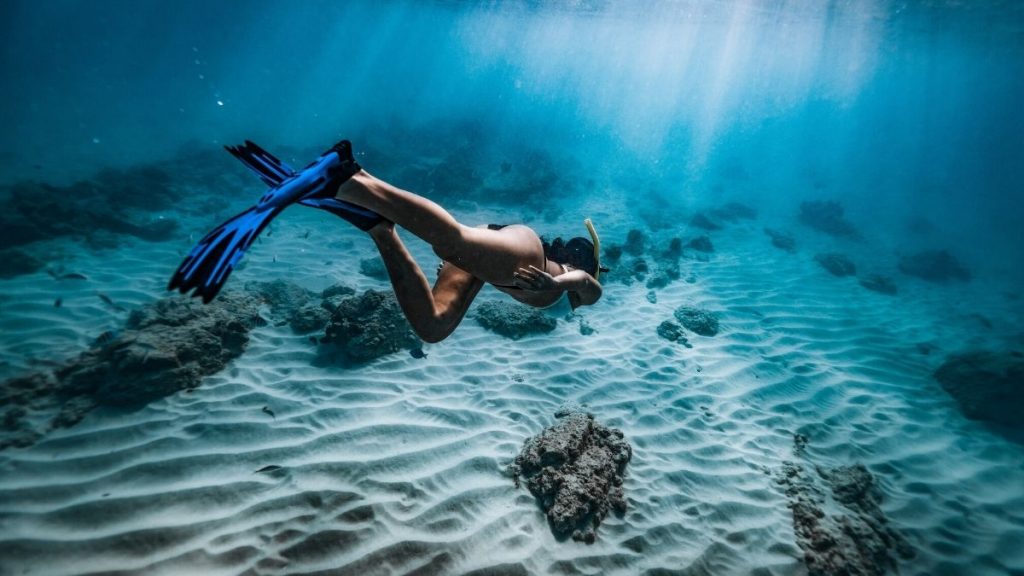 80 Snorkeling Captions For Instagram - Puns, Quotes & Short Captions -  Traveller's Elixir
