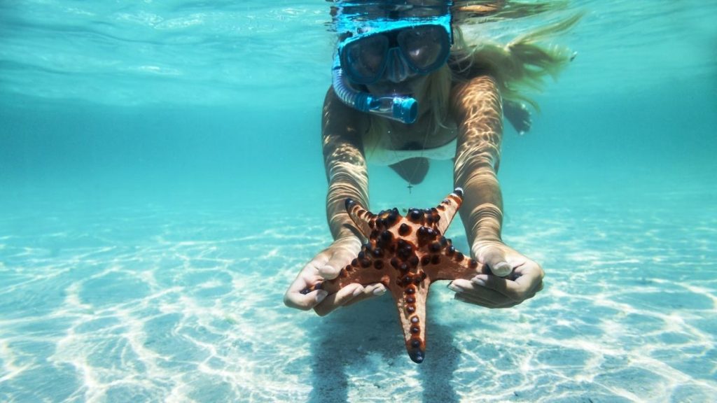 80 Snorkeling Captions For Instagram - Puns, Quotes & Short Captions -  Traveller's Elixir