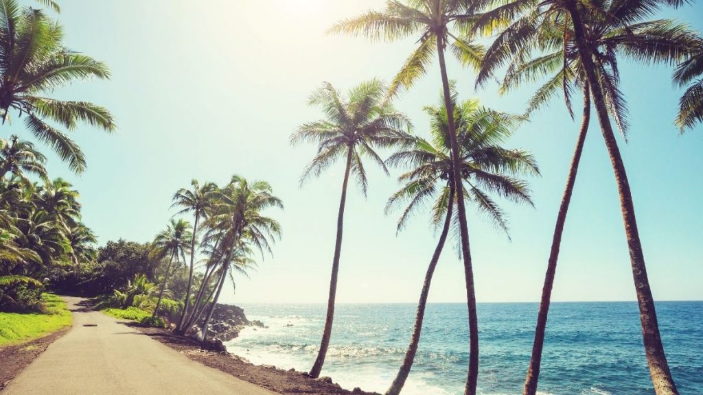 90 Hawaii Captions For Instagram - Puns, Quotes & Short Captions