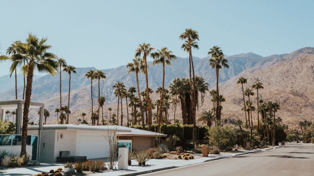 Palm Springs Instagram captions